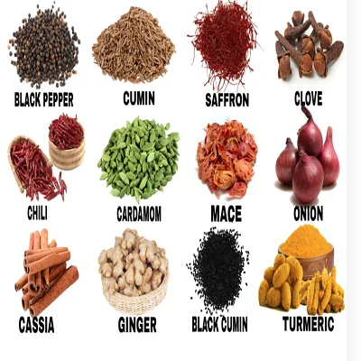 SPICE